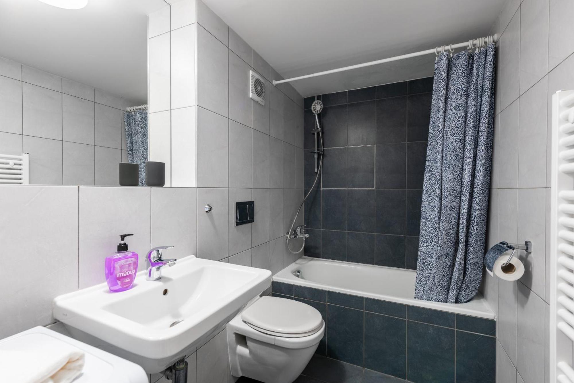 Loft Spacious In Praag